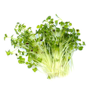Arugula