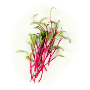 Amaranth