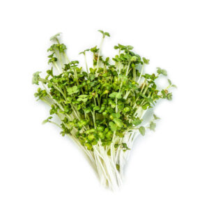 Black Mustard