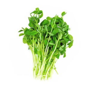 Pea Shots